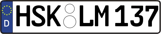 HSK-LM137