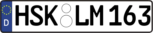 HSK-LM163