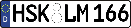 HSK-LM166