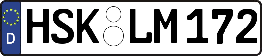 HSK-LM172
