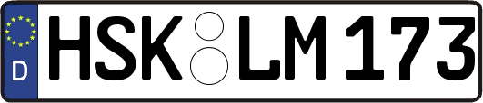 HSK-LM173