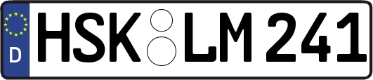 HSK-LM241