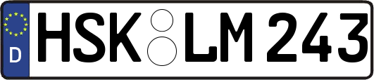 HSK-LM243