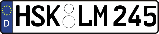 HSK-LM245