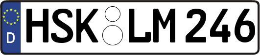HSK-LM246