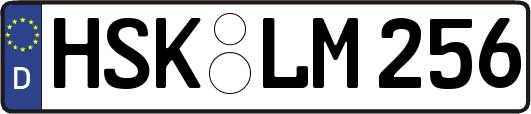 HSK-LM256