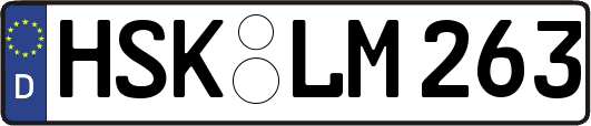 HSK-LM263