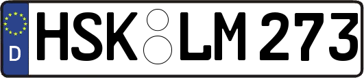 HSK-LM273