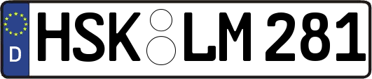 HSK-LM281