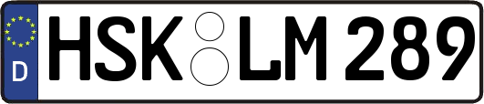HSK-LM289