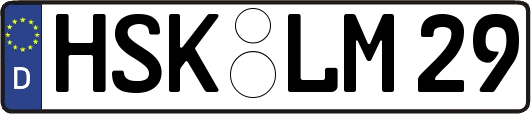 HSK-LM29