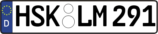 HSK-LM291