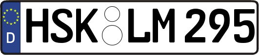 HSK-LM295