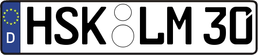 HSK-LM30