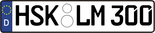 HSK-LM300
