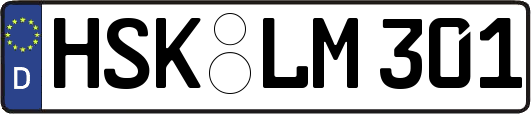 HSK-LM301
