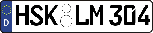 HSK-LM304