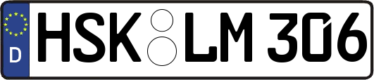 HSK-LM306