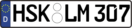 HSK-LM307