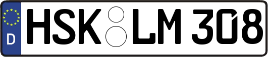 HSK-LM308