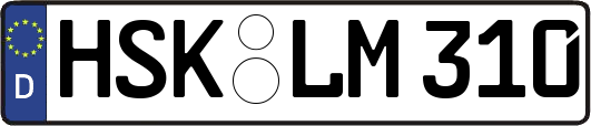 HSK-LM310