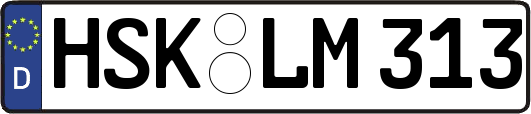 HSK-LM313