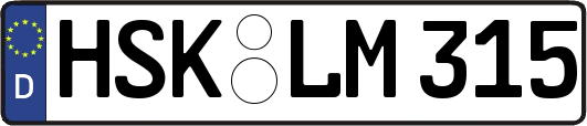 HSK-LM315