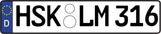 HSK-LM316