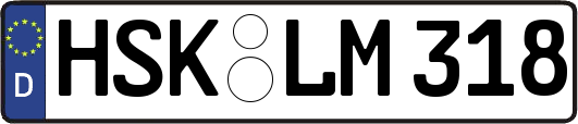 HSK-LM318
