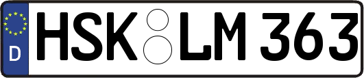HSK-LM363