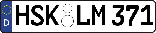 HSK-LM371