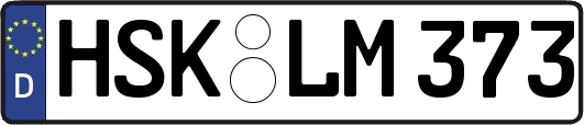 HSK-LM373