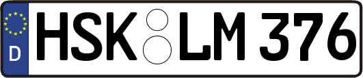 HSK-LM376
