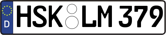 HSK-LM379