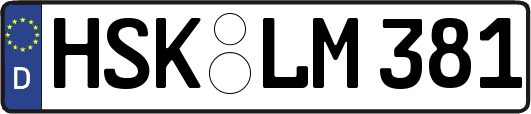 HSK-LM381