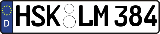 HSK-LM384