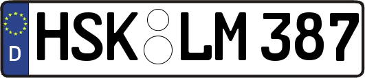 HSK-LM387