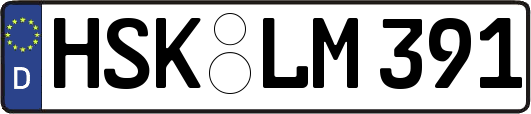 HSK-LM391