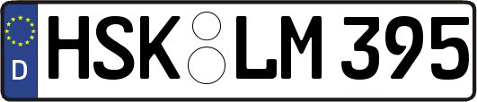 HSK-LM395