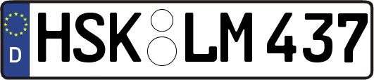 HSK-LM437