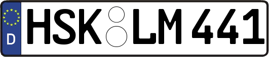 HSK-LM441