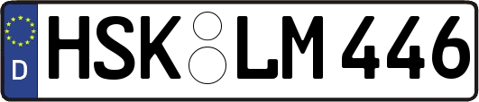 HSK-LM446