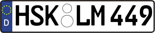 HSK-LM449
