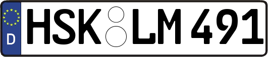 HSK-LM491