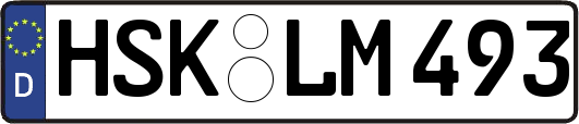 HSK-LM493