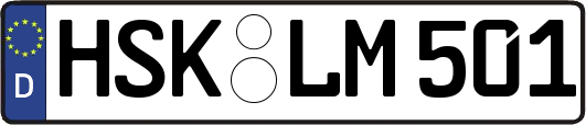 HSK-LM501