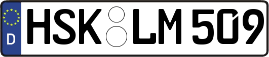 HSK-LM509