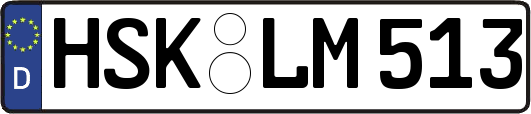 HSK-LM513