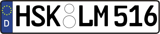 HSK-LM516