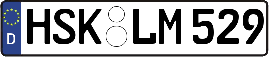 HSK-LM529